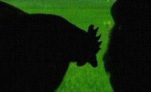 Prodotti biologici: ecco cio' che bisogna sapere