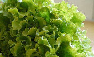 Buona insalata!