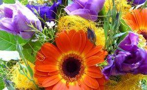 Bouquet di fiori, sole e mare