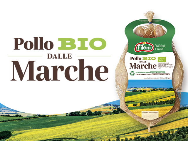 Arriva il Pollo dalla Marche