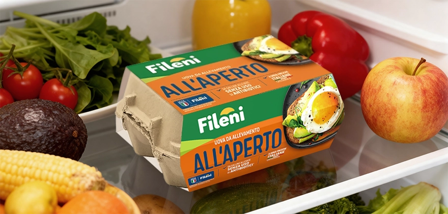 come conservare le uova senza fare errori